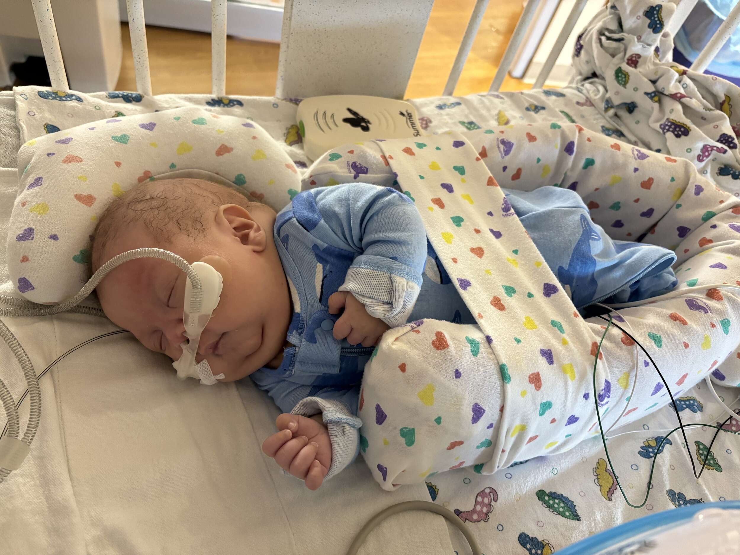 Ethan<br>April 2024 - July 2024<br>USA